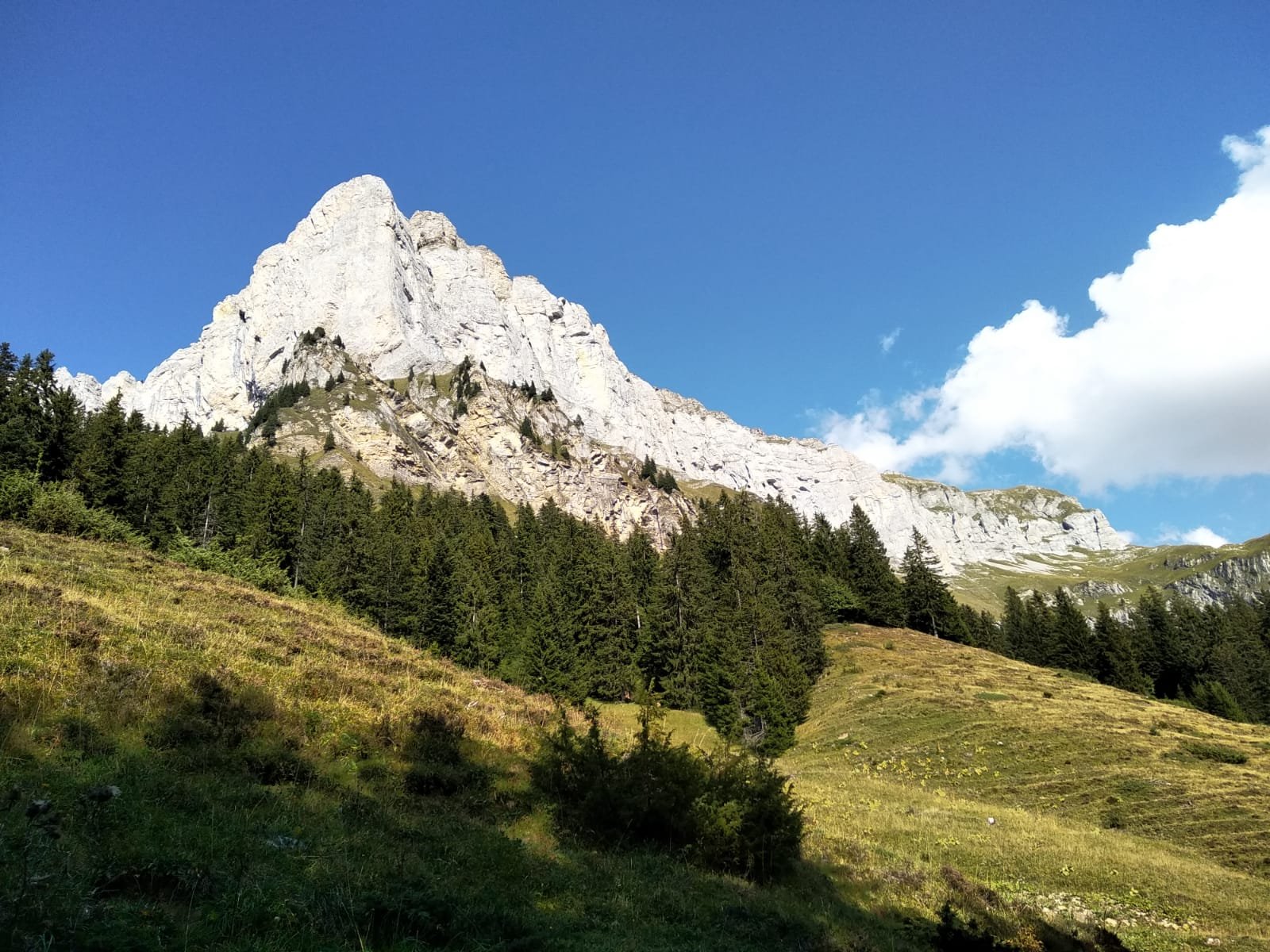 La parete vista dal rifugio 