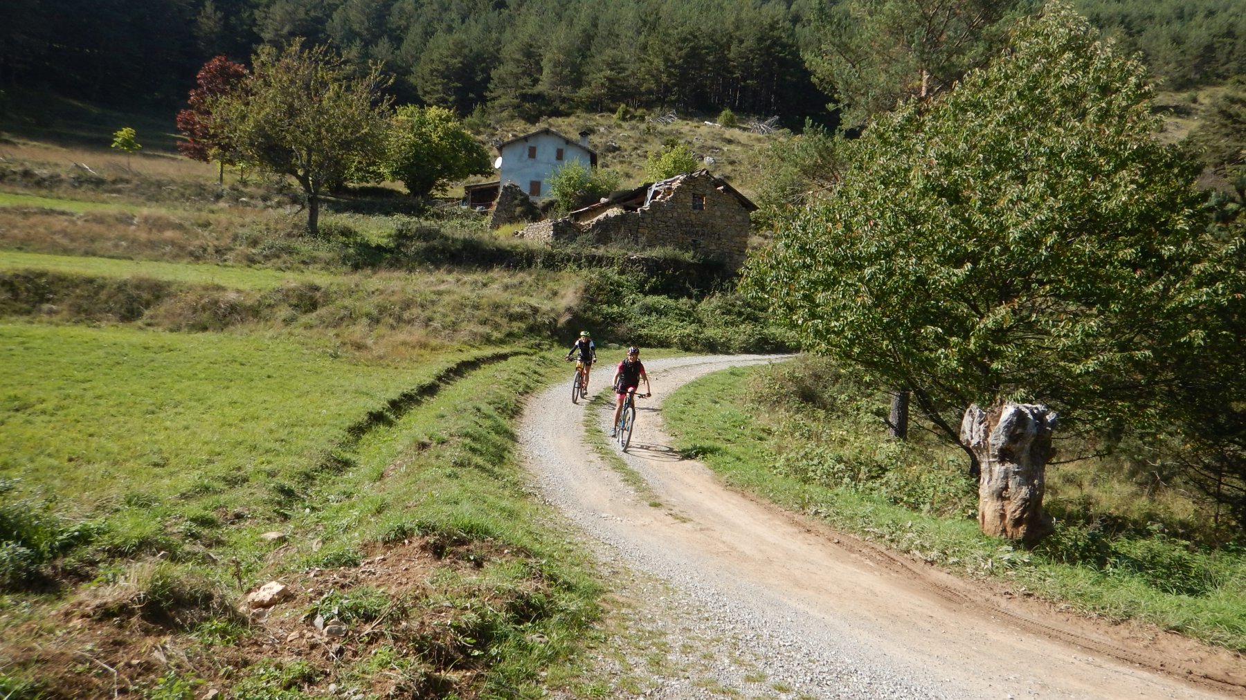 Nella parte superiore della strada forestale
