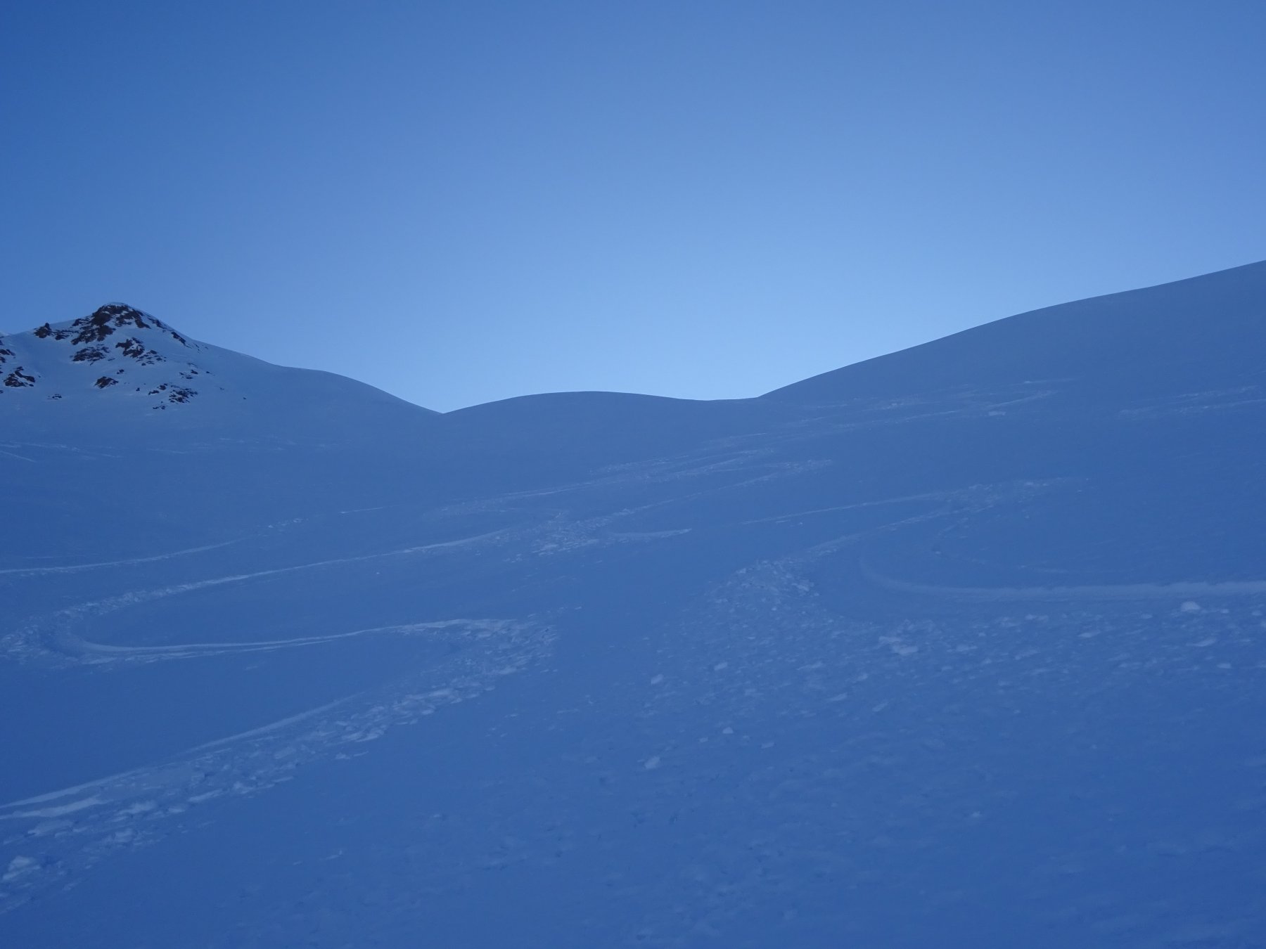 Le nostre firma in discesa