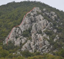 Schizzo