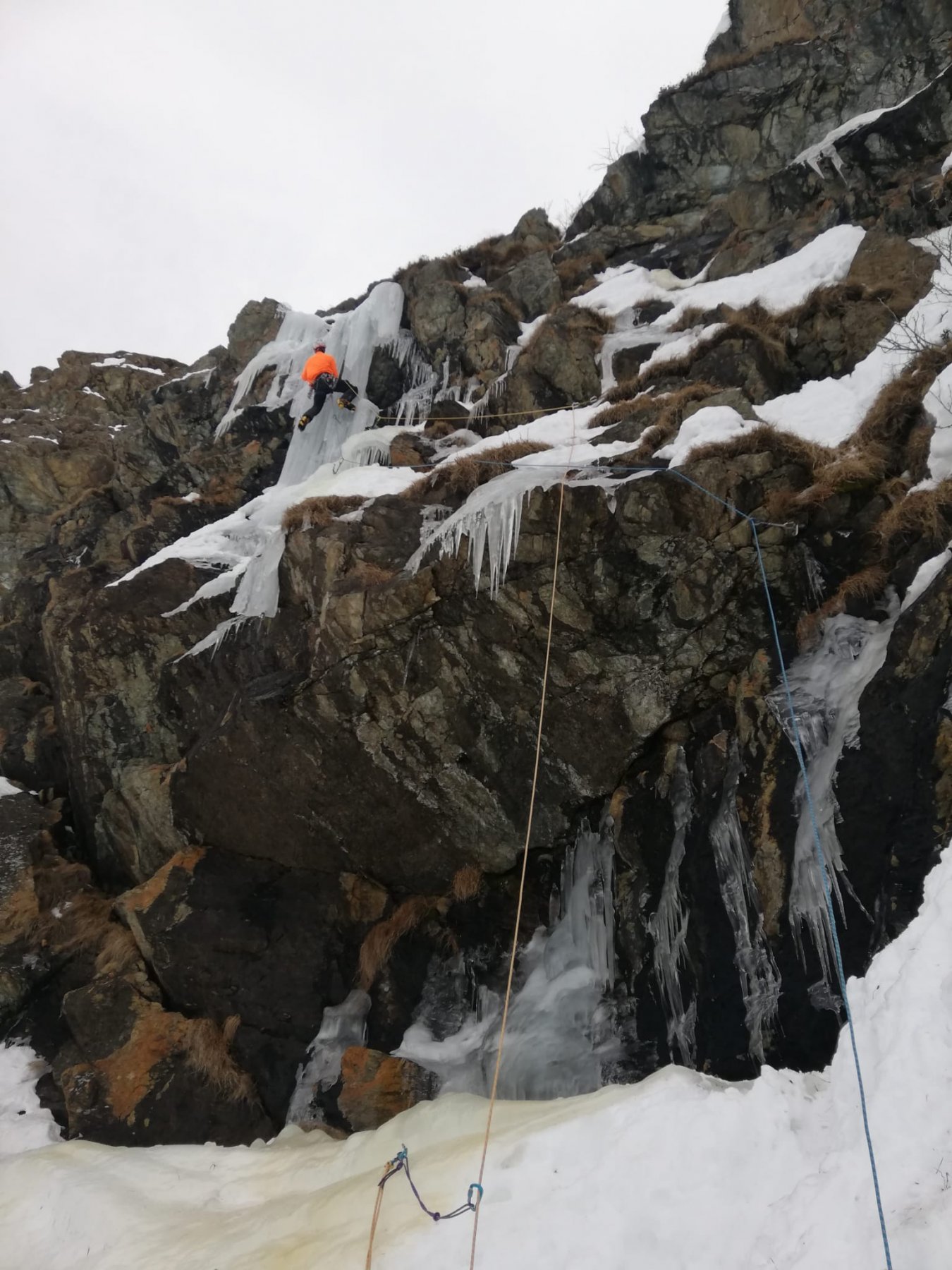 Fluorescenza in azione