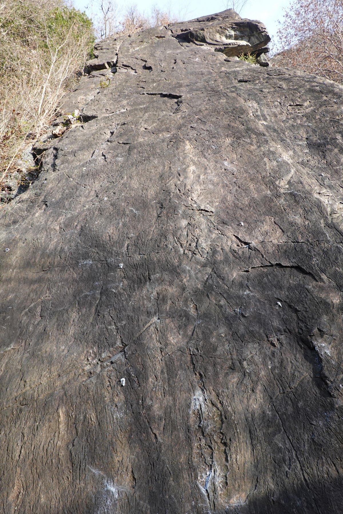 La placca nella sua interezza...