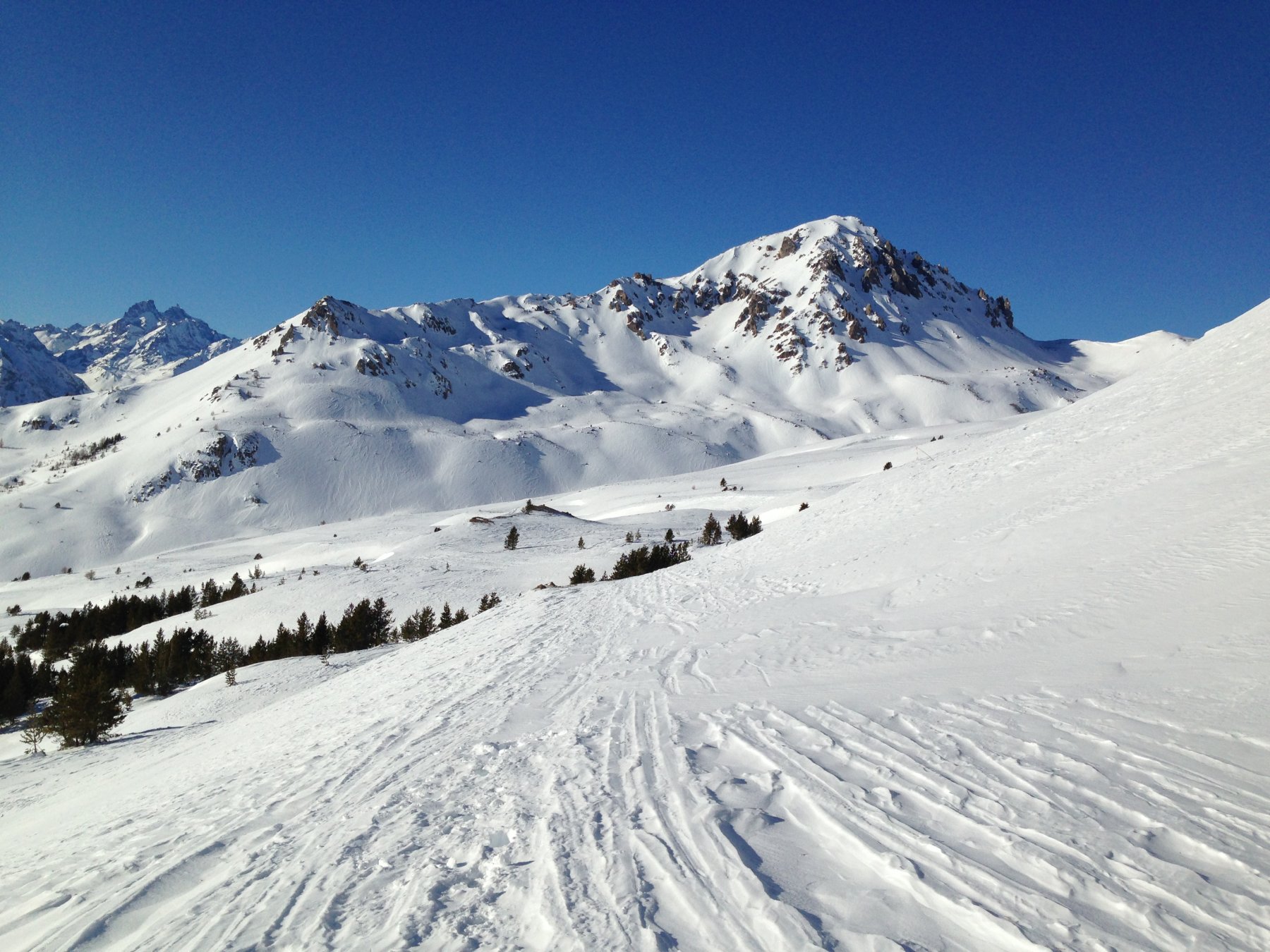 Direzione Grand Area