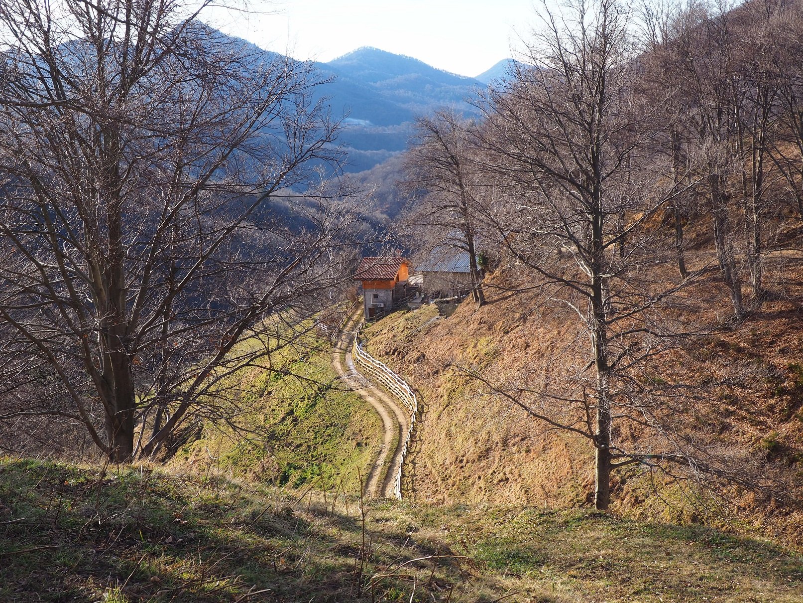 L'Alpe Lincé vista dal sentiero 639.