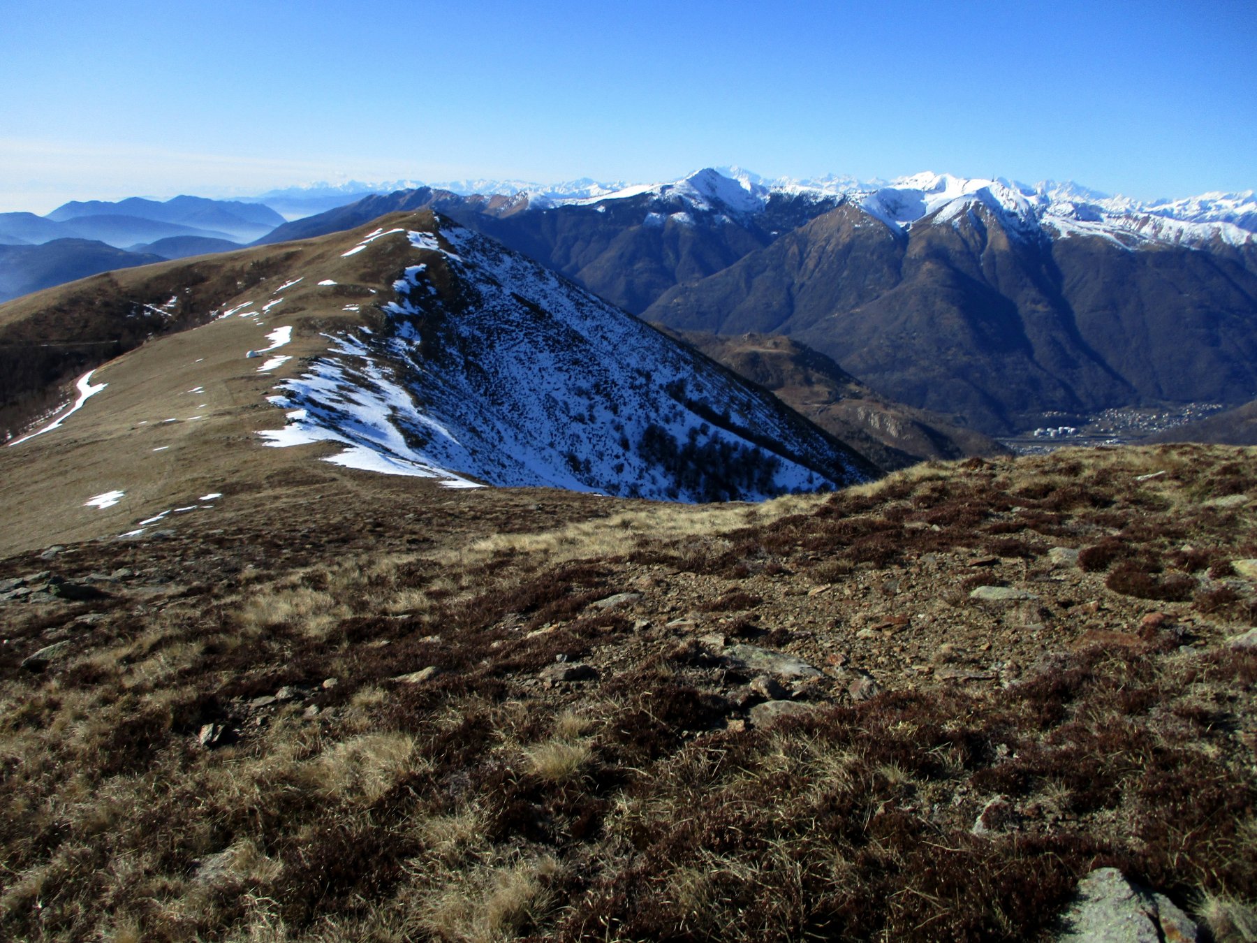 caval Drossa alle spalle