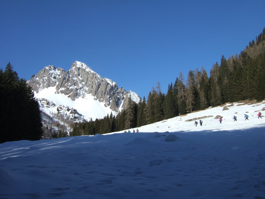 la prima radura con il Colbricon