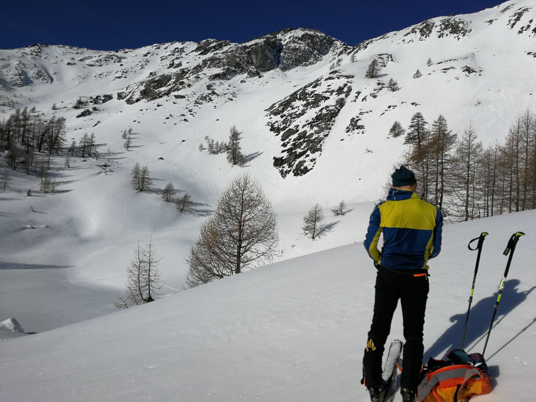 all'uscita del bosco