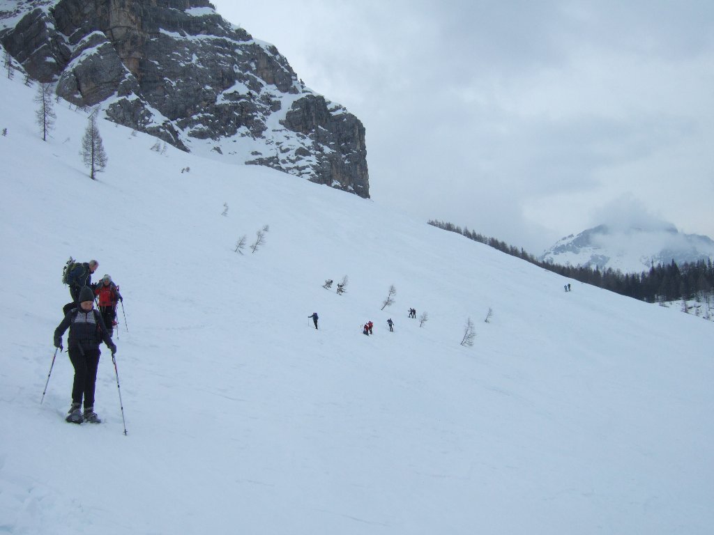 pendii sotto il Pelmo