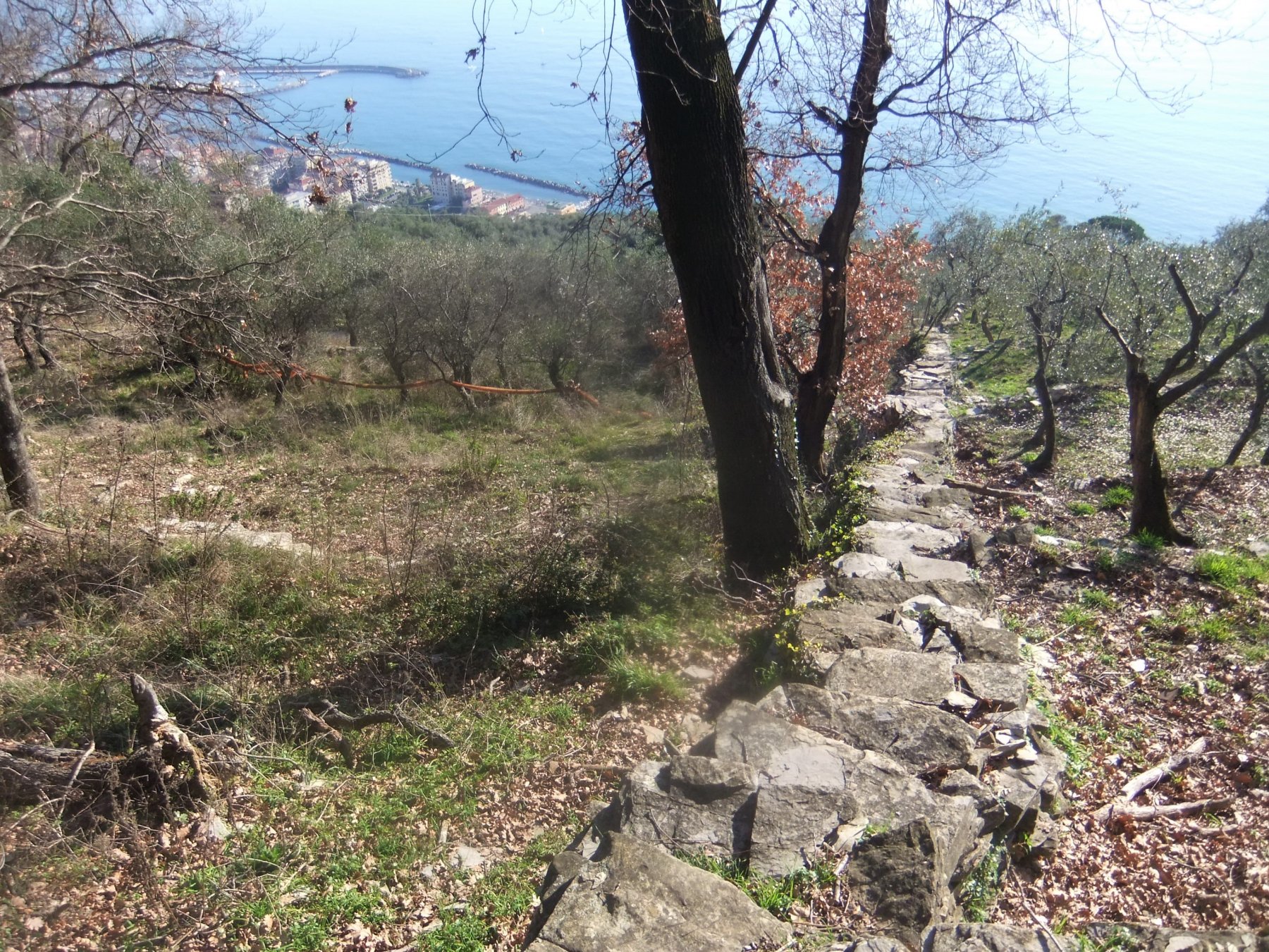 Scenografica scalinata di pietre 