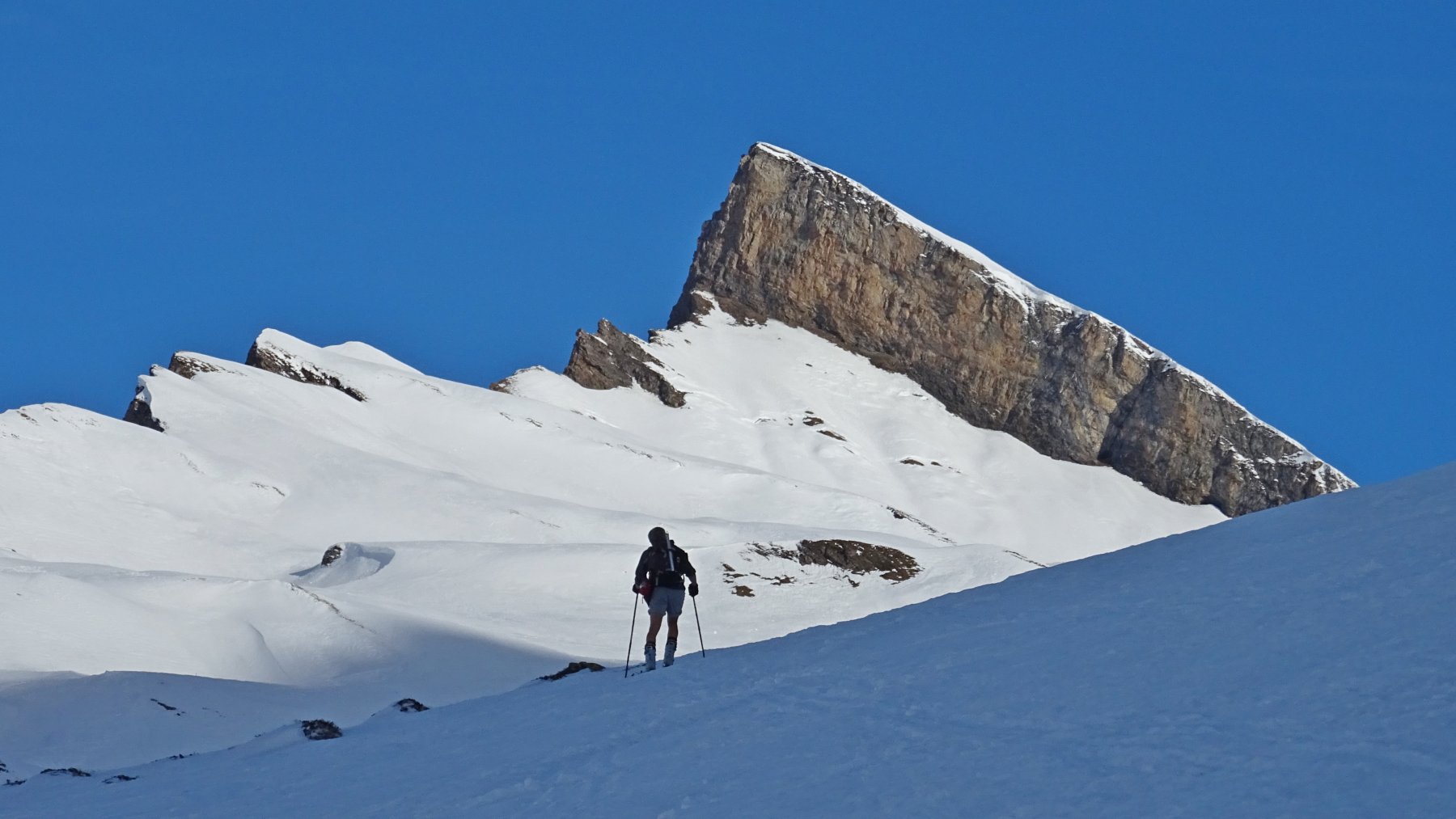 Panorama sulla super star di oggi.