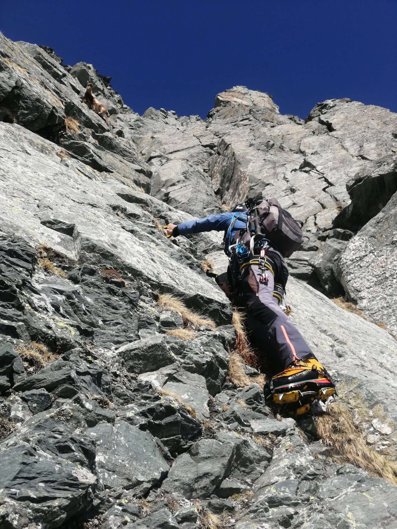 P.D. sulla placca iniziale