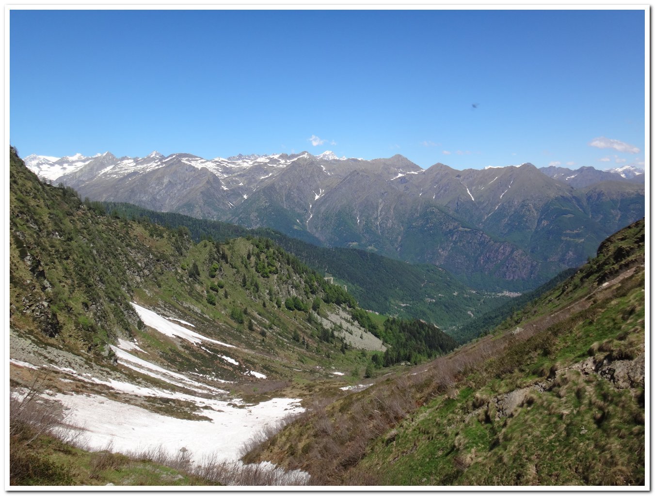 vista dal colle su Bannio Anzino, spuntano Rosa, Weissmies e Leone