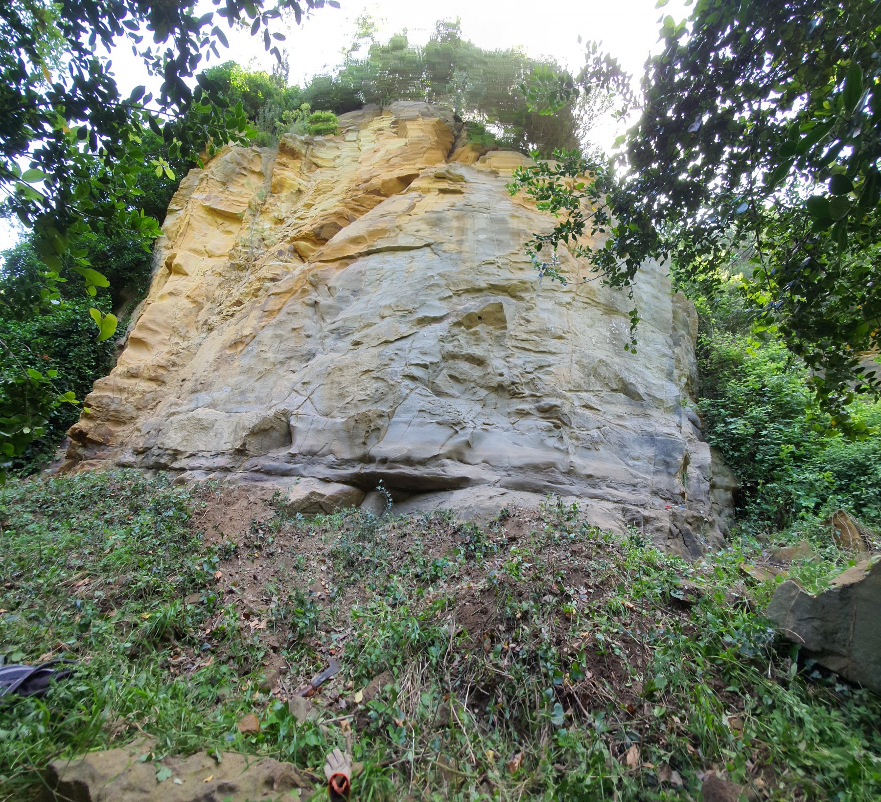 foto della parete