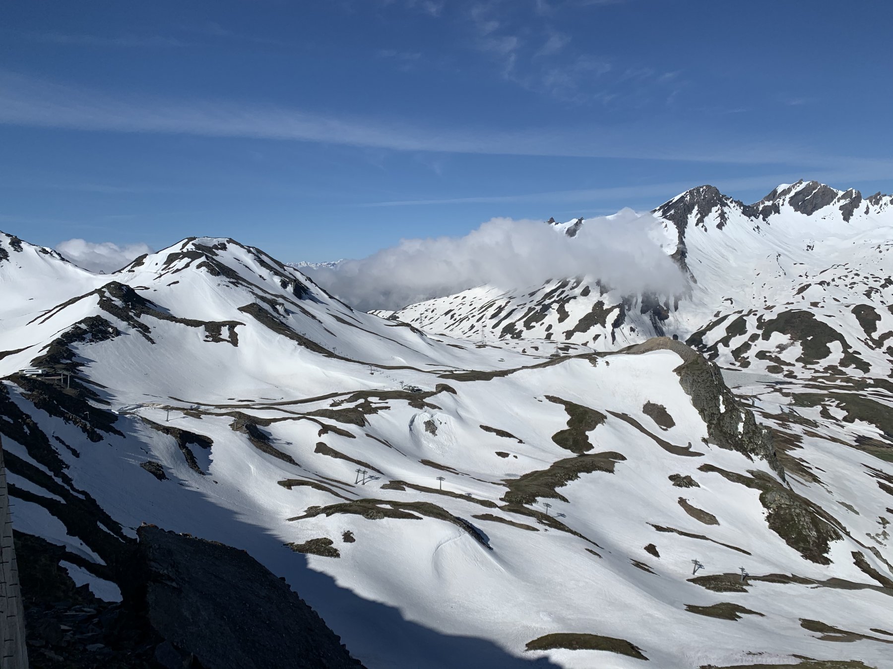 Il piccolo san bernardo bello innevato