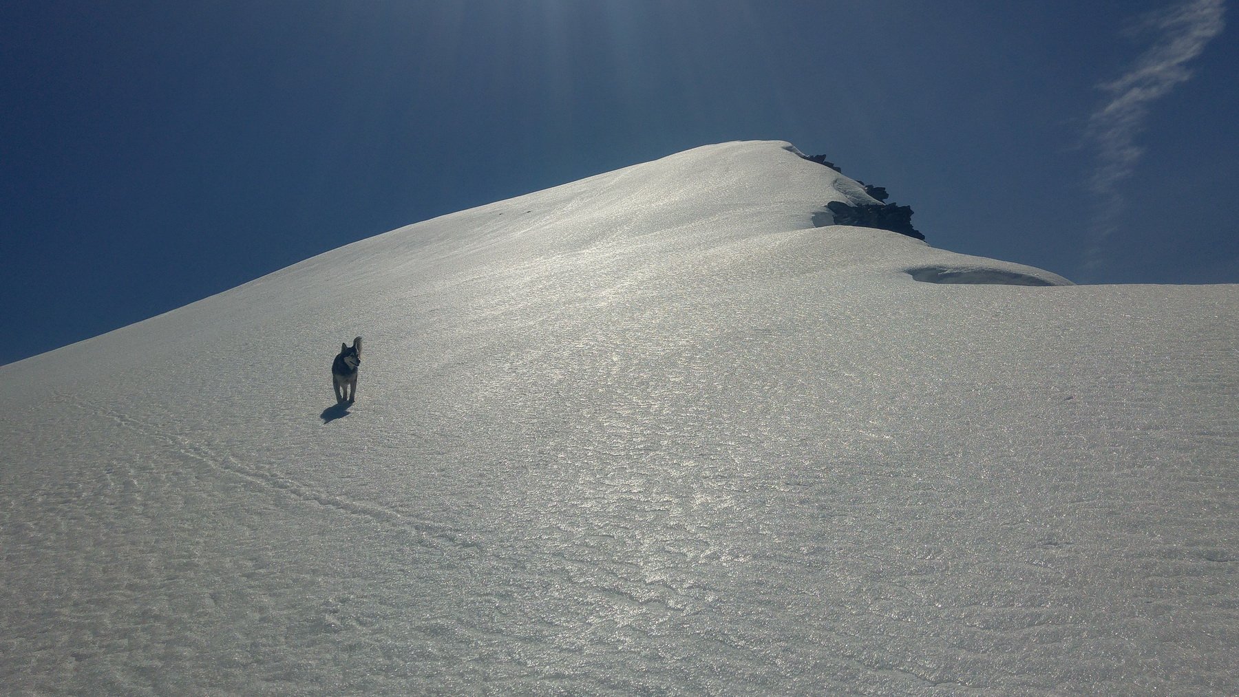 Ultime metri per la vetta