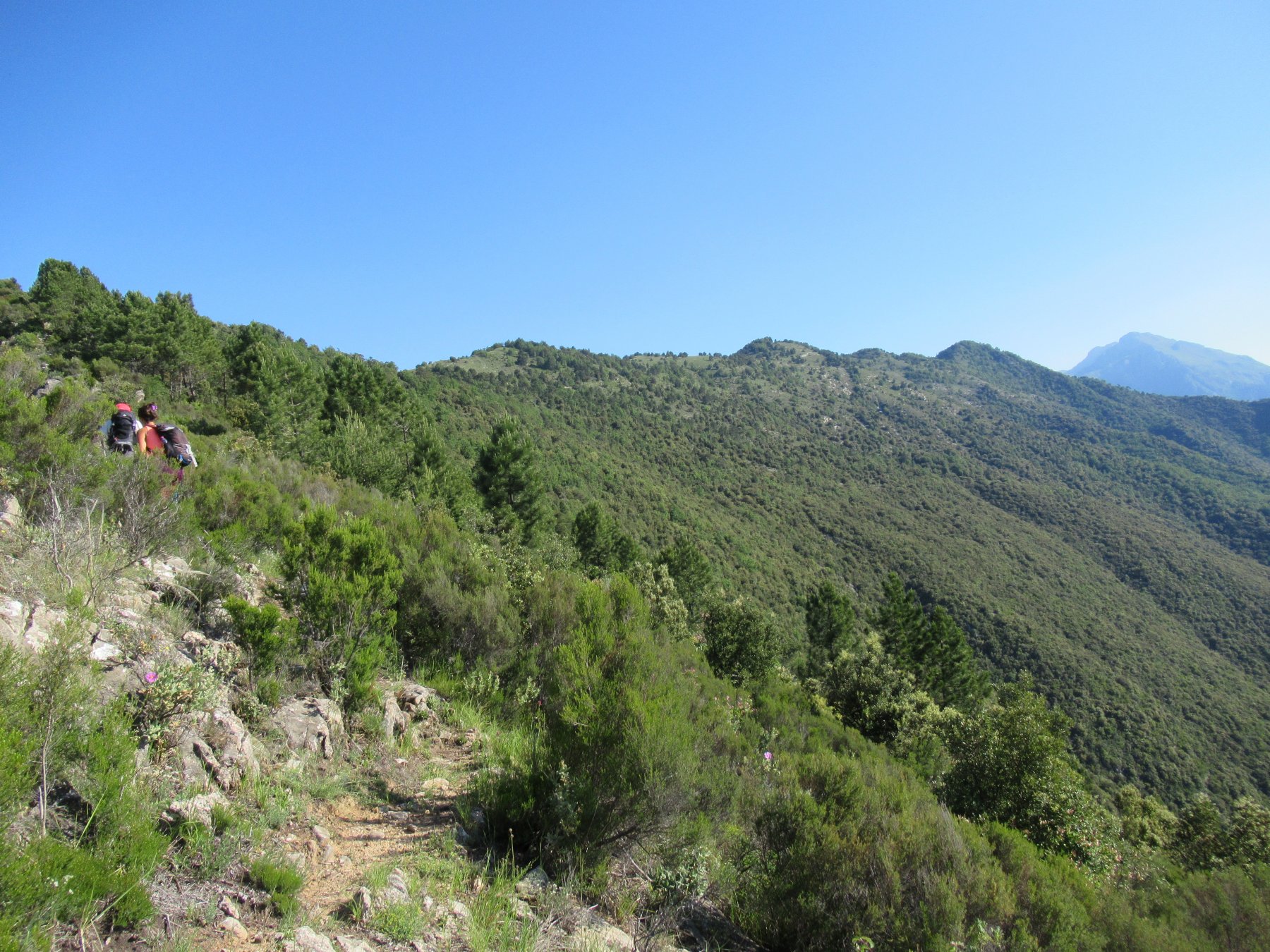 Salita al Monte Terca con dorsale di salita per Gouta.