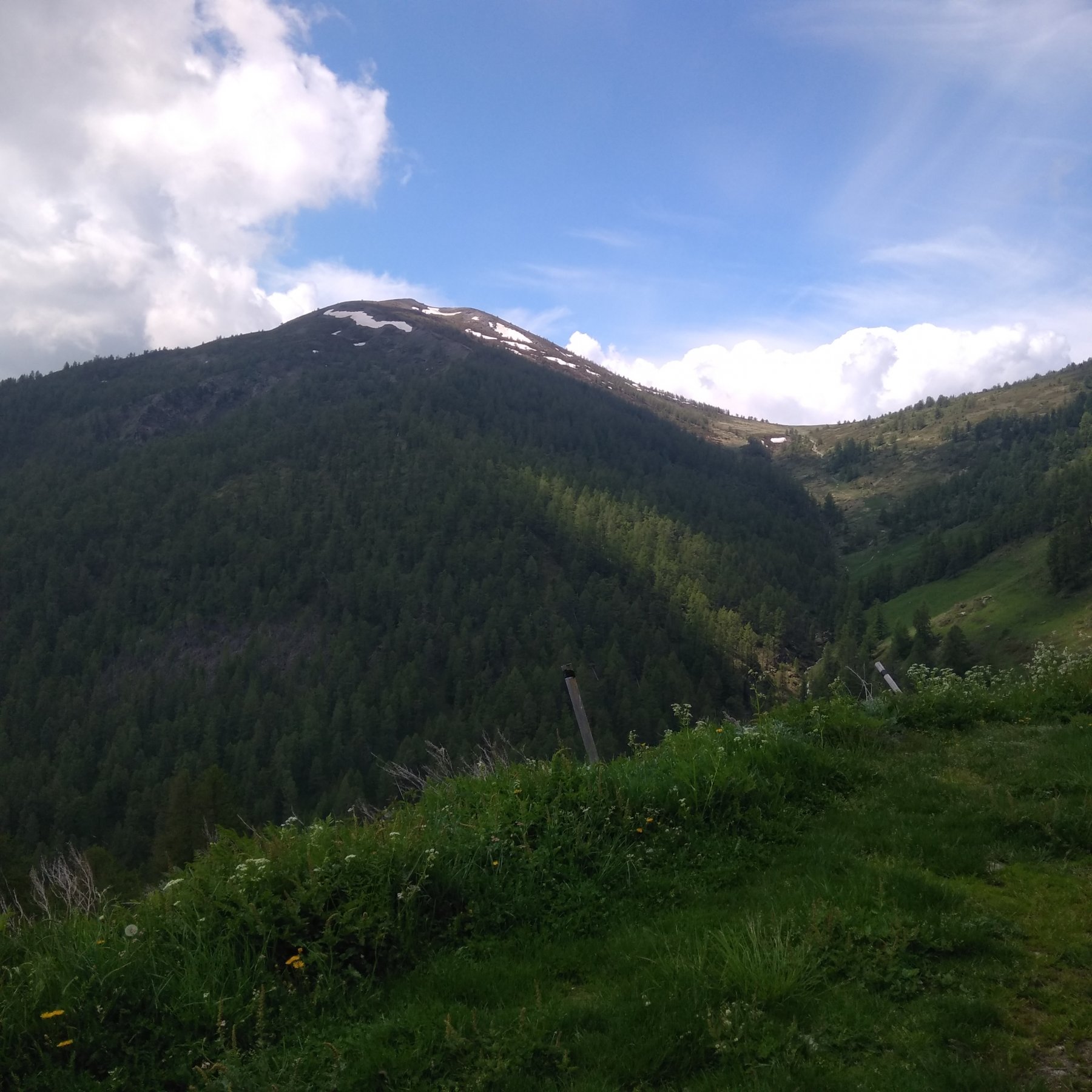 Puna Moncrons al sole