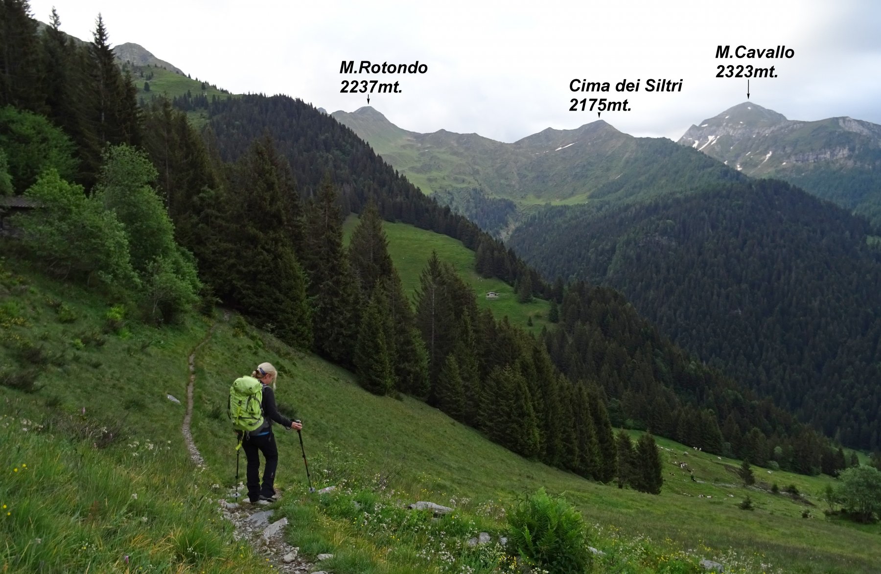 Panorama appena partiti.
