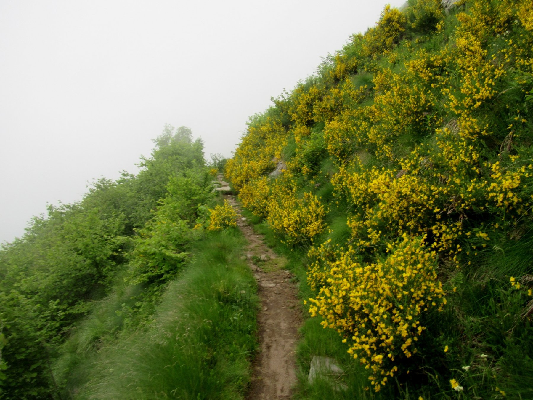 Sentiero di rientro per il tempietto