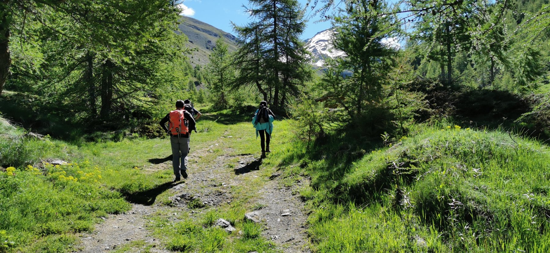 arrivando alla Località 7 Fontane