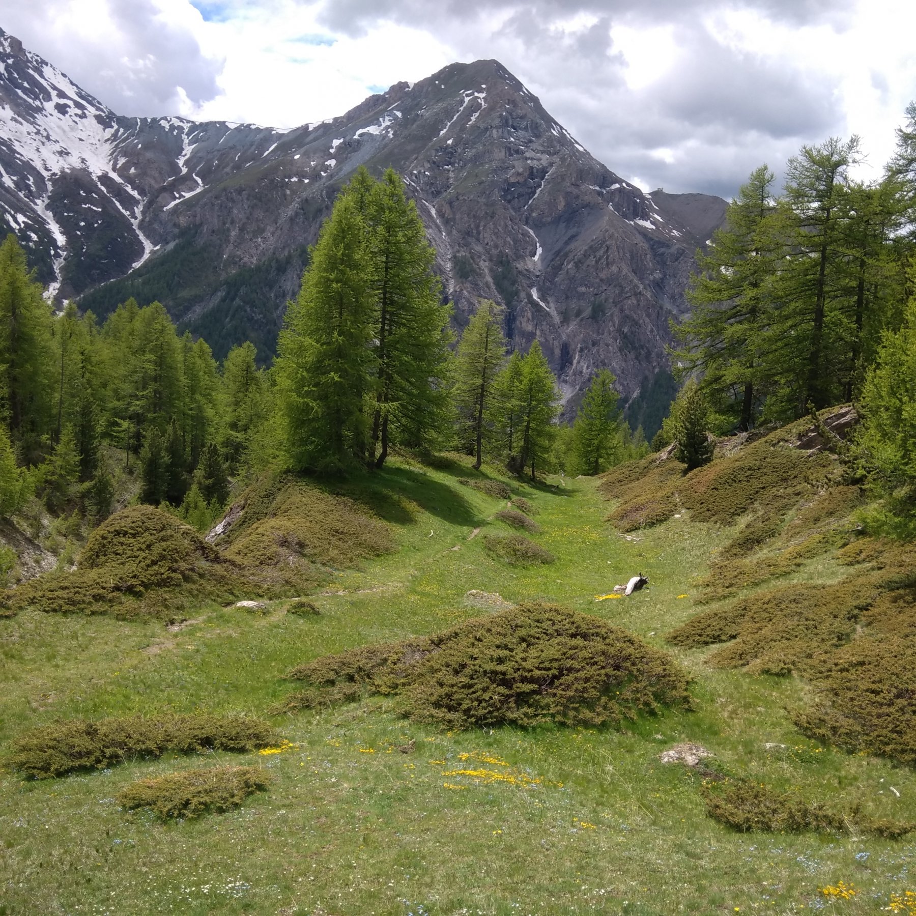 Bei passagi nel bel Lariceto