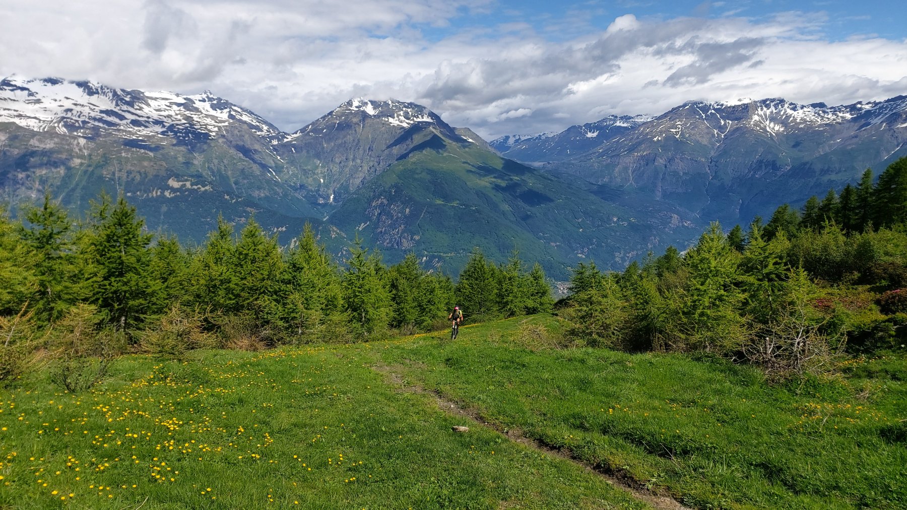 poco dopo il limitare del bosco