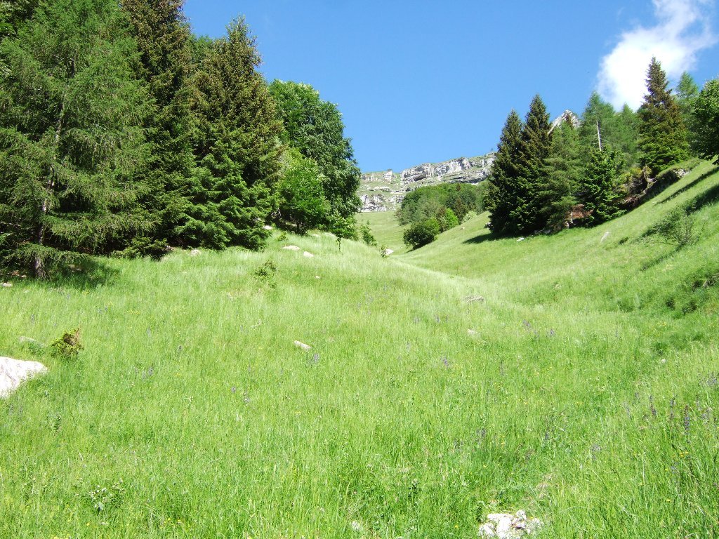 prato dove passa una delle tracce di discesa dal rif. Buscada