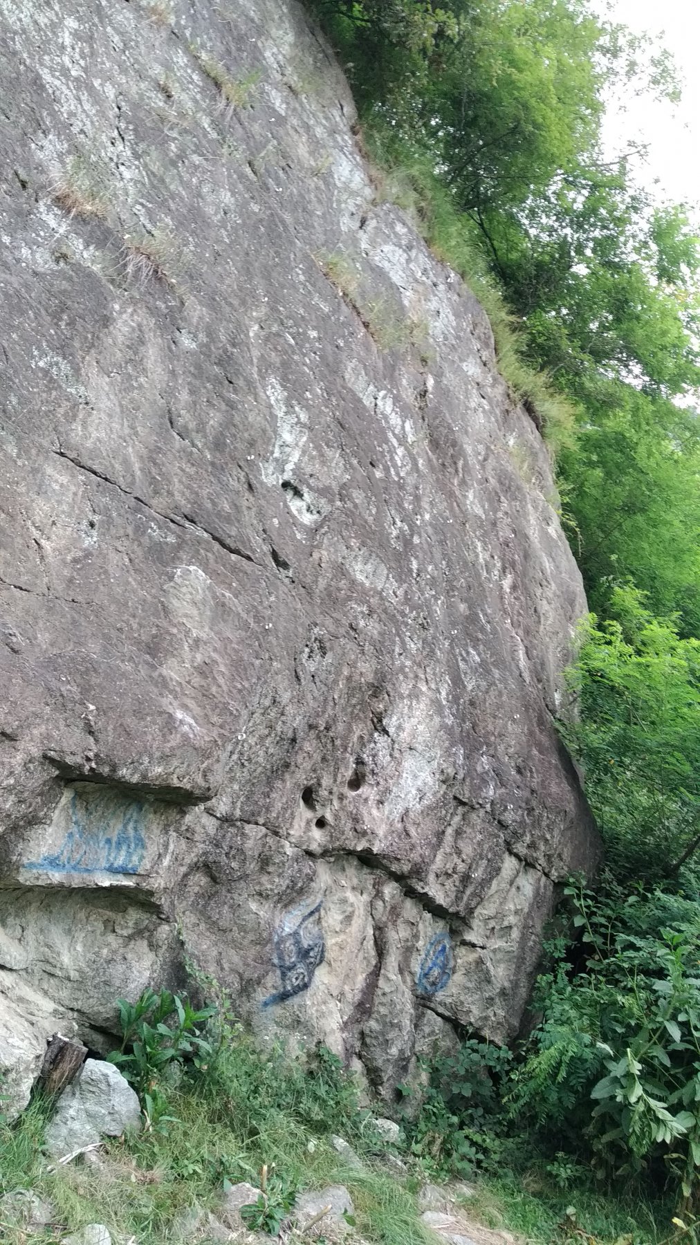 Denti, svastica e anarchia