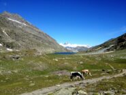 Lago Savine  da Fond Savine