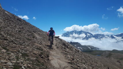 divertente su buon fondo