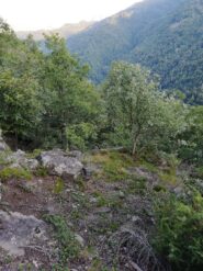 Il Giardino del Diavolo