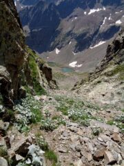 il canale di discesa per fare l'anello tra la cima est e la ovest