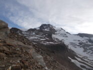 e' meglio visualizzabile ora la linea da seguire..