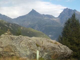 L' Avic appena sbucati dalla faggeta