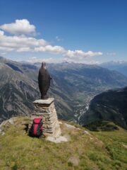Vista verso Morgex.