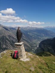 Vista verso Morgex.