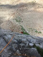 Paolino sul primo tiro