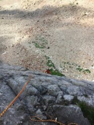 Paolino sul primo tiro