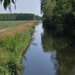 Sul Naviglio Sforzesco: vista verso valle, a Torre Mandelli, andando verso la SS11