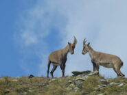 ...proprio sulla linea di salita