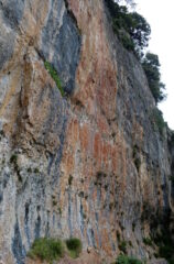 Dettaglio lato destro