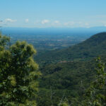 Panorama sulla pianura