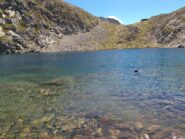 Lago di Lausfer superiore + Daisy