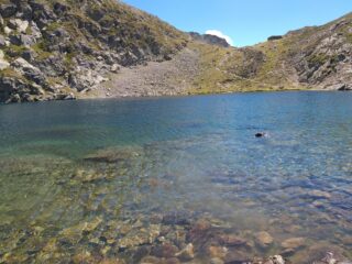 Lago di Lausfer superiore + Daisy