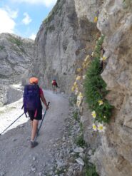 Strada ex-militare Col di Tenda-Monesi.
