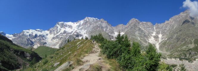 Sulla morena