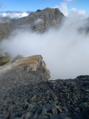 foschie