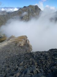 foschie
