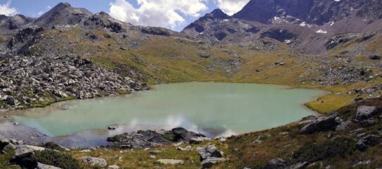 lago mezove