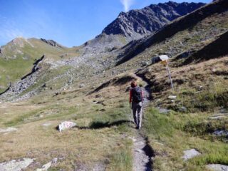 bivio quota 2484 e in fondo il colle